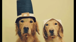 Screenshot_2014-11-26-17-40-34