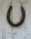 horse shoe