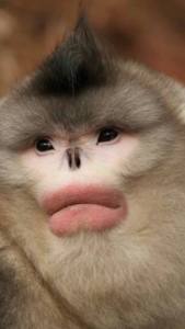 11073282_1002526466439152_6506847567525957698_n