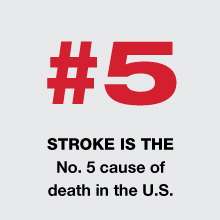 stroke5
